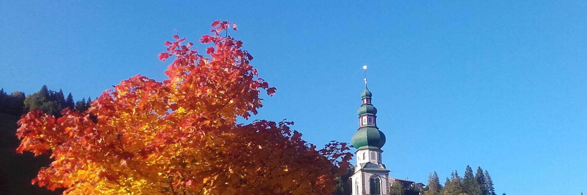 oberauherbst2016